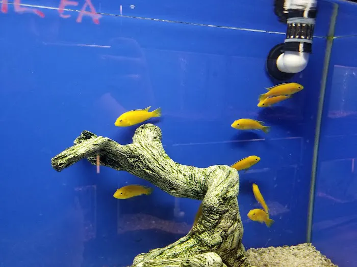 Fondren Fish & Pets Picture 6