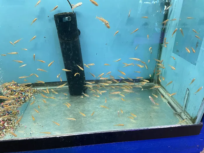 Fondren Fish & Pets Picture 4