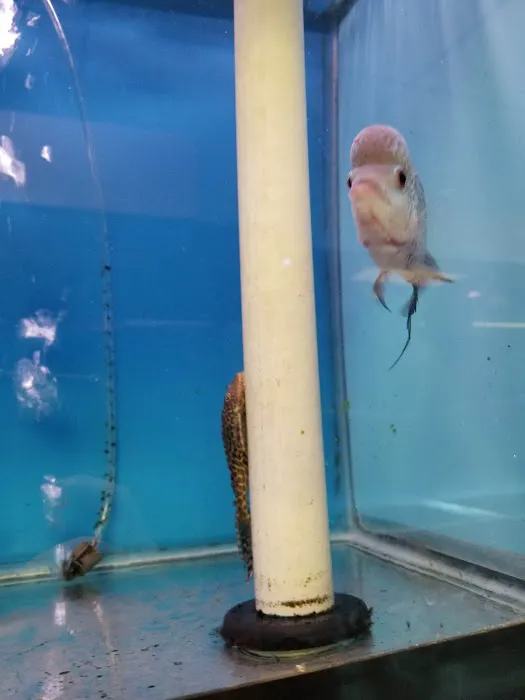 Fondren Fish & Pets Picture 2