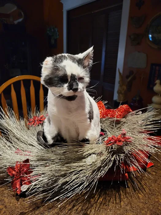 Cambria Veterinary Care Picture 3