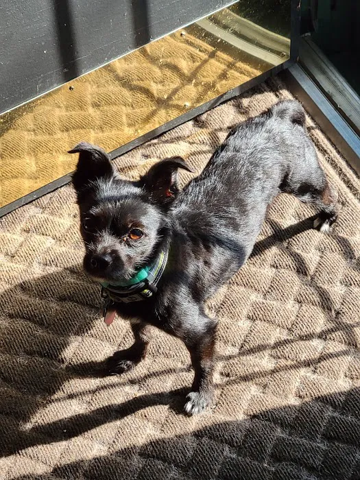 Cambria Veterinary Care Picture 4