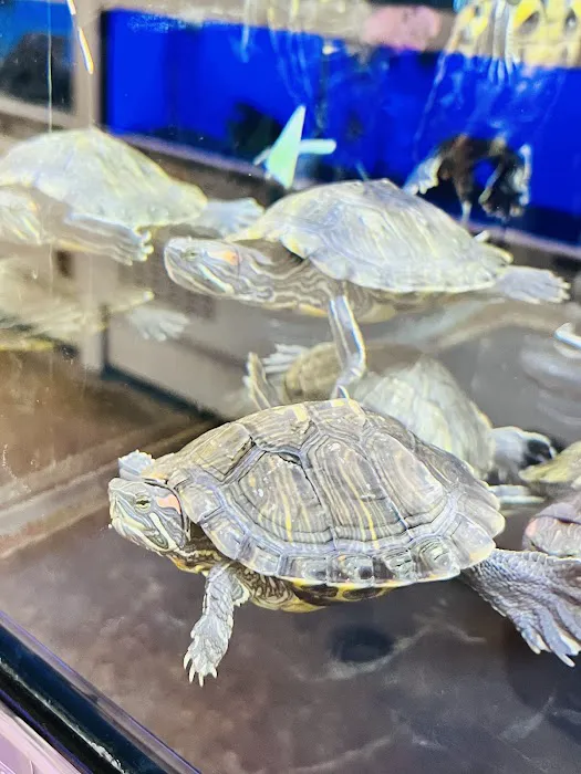 Petco Picture 2