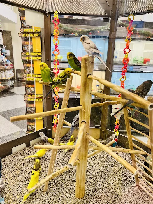 Petco Picture 1