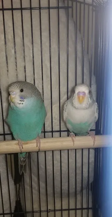 Petco Picture 6