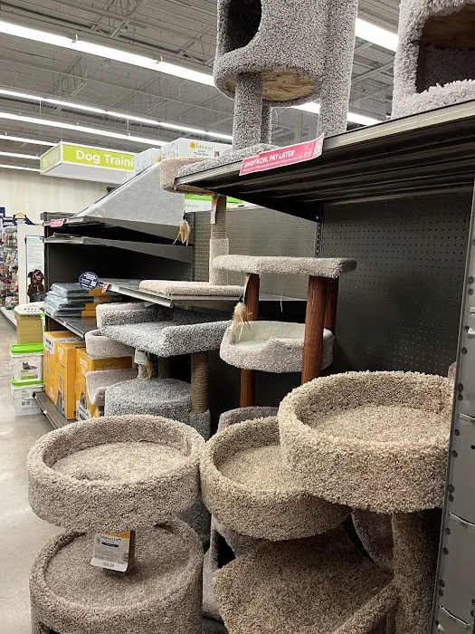 Petco Picture 5