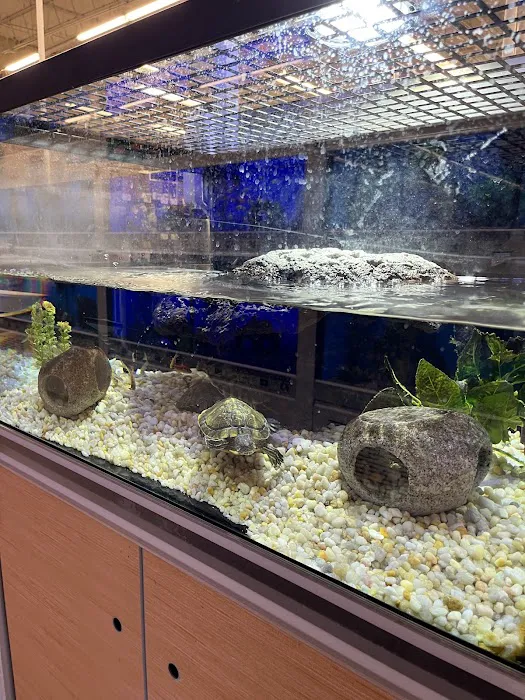 Petco Picture 7