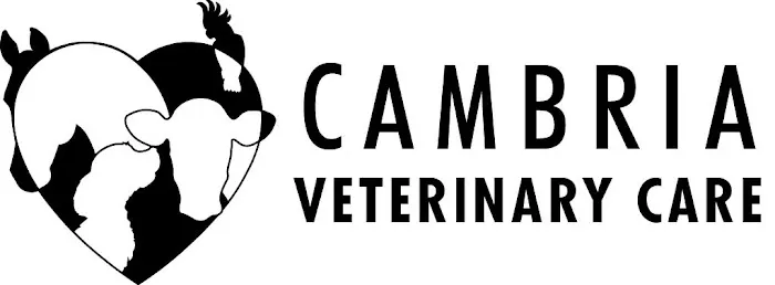 Cambria Veterinary Care Large Animal Picture 1