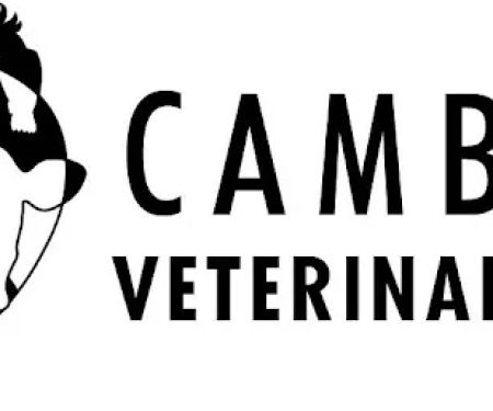 Cambria Veterinary Care Large Animal