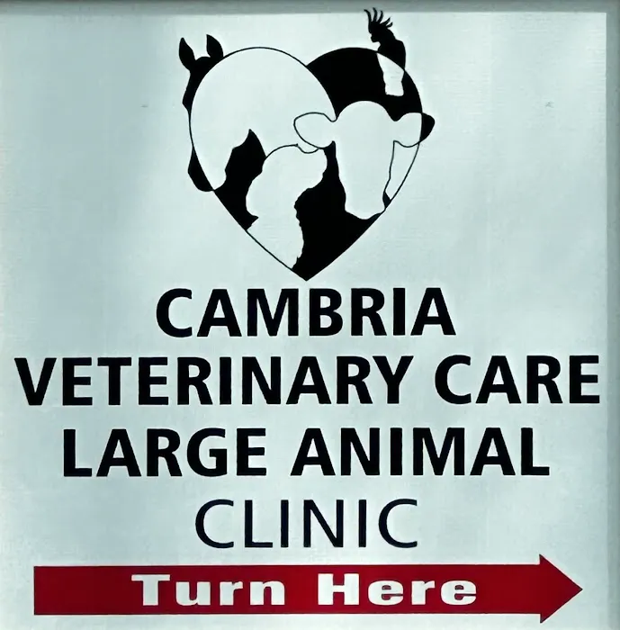Cambria Veterinary Care Large Animal Picture 5