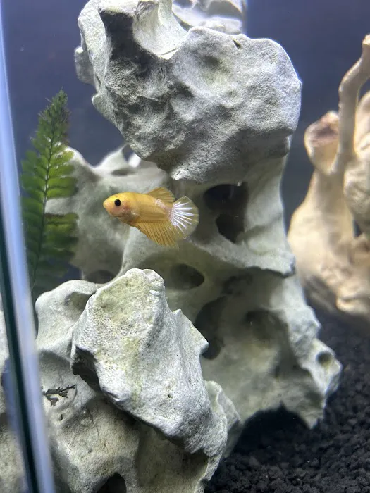 Houston Aqua Picture 10