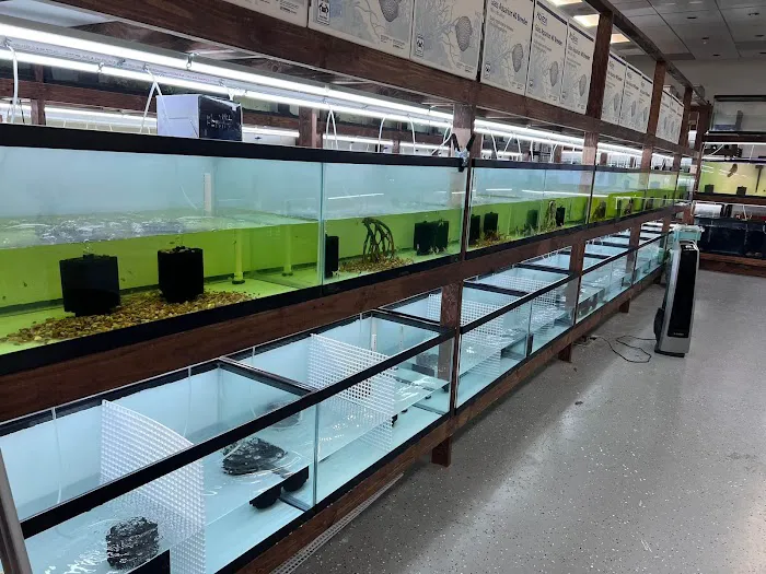 Houston Aqua Picture 7