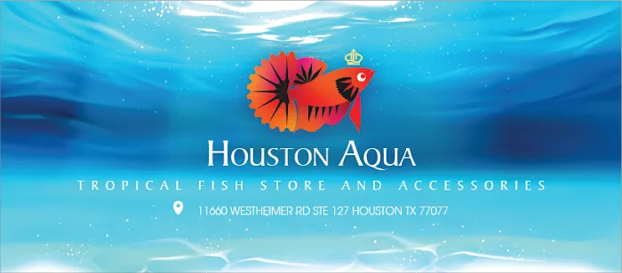 Houston Aqua Picture 5