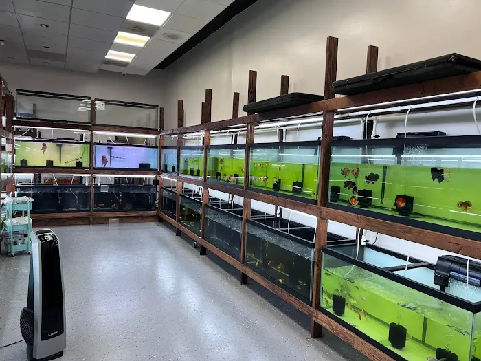 Houston Aqua Picture 3
