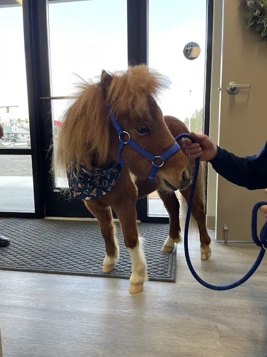 Johnstown Veterinary Associates - Ebensburg, North Campus Picture 10