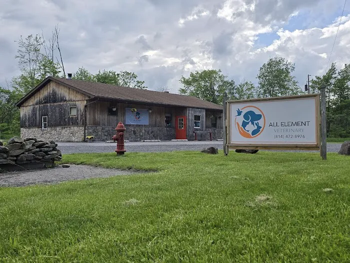 All Element Veterinary (formerly Hilltop Animal Hospital) Picture 1