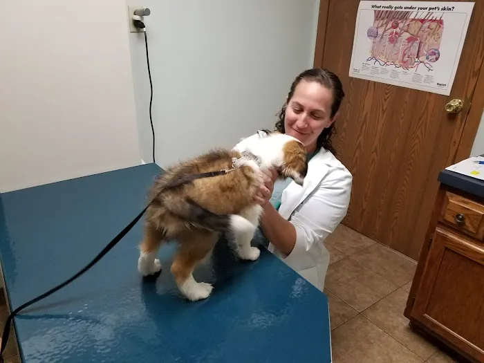 Casselman Veterinary Services Picture 6