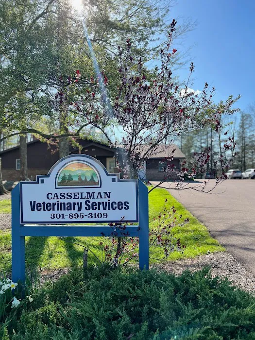 Casselman Veterinary Services Picture 1