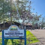 Casselman Veterinary Services