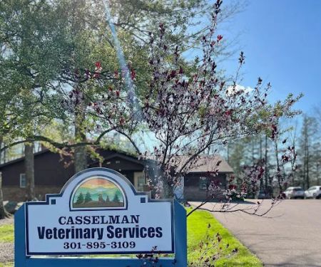 Casselman Veterinary Services