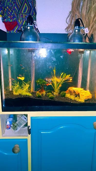 AquaZoo Picture 1