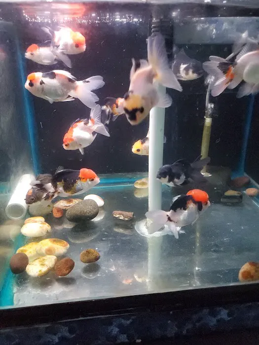 AquaZoo Picture 4