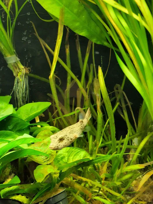 AquaZoo Picture 5