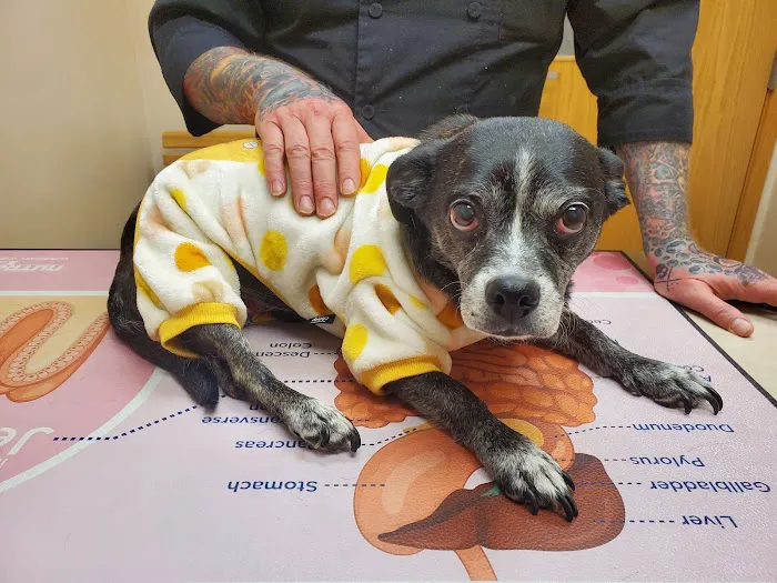 Hillside Animal Hospital Picture 2