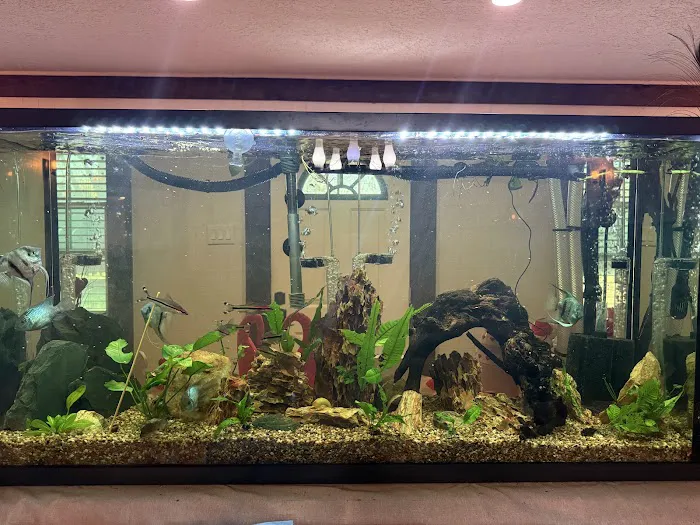 Infinite Aquatics Picture 1