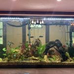 Infinite Aquatics