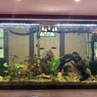 Infinite Aquatics ico