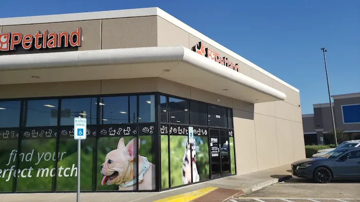 Petland Webster Picture 6