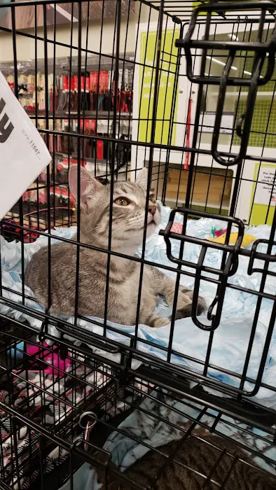 Petco Picture 1