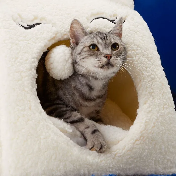 Petco Picture 7