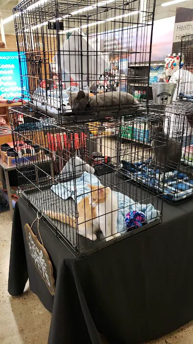 Petco Picture 2