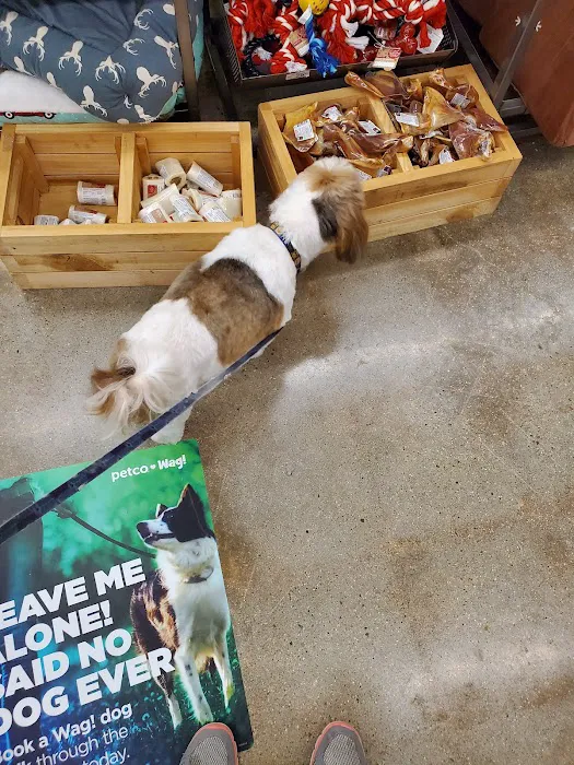 Petco Picture 8