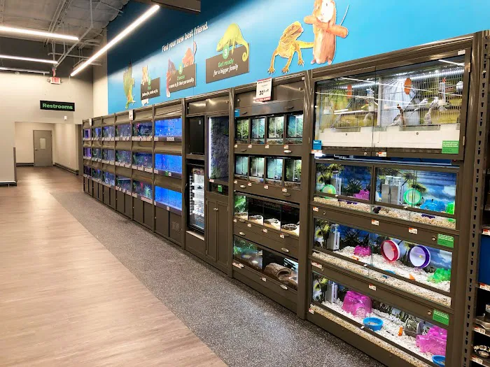 Pet Supplies Plus Clear Lake Picture 10