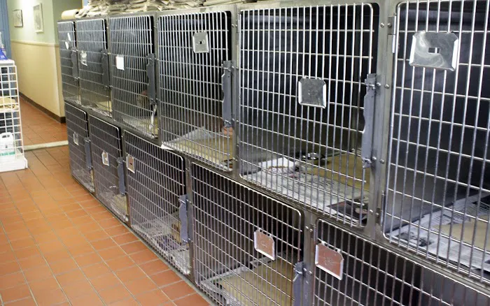 Commack Animal Hospital Picture 10