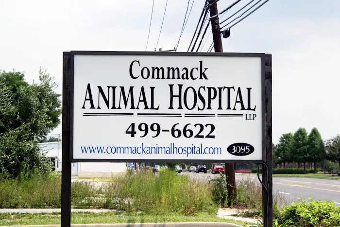 Commack Animal Hospital Picture 8