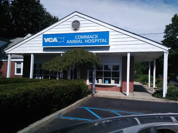 Commack Animal Hospital Picture 6
