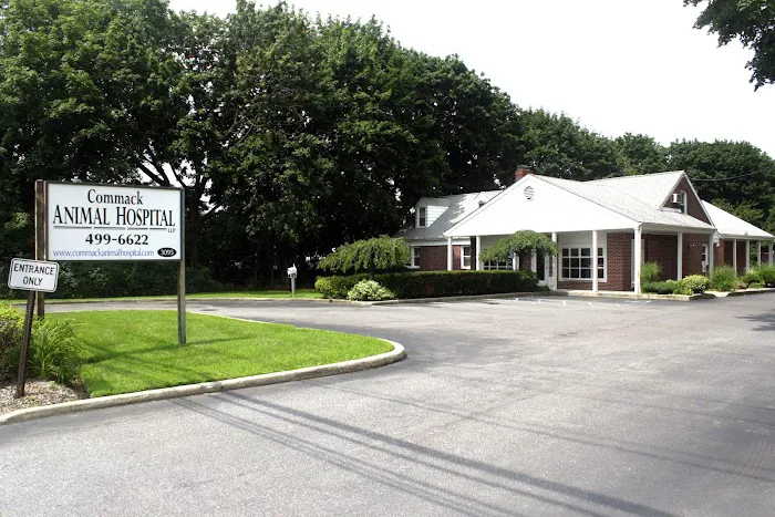 Commack Animal Hospital Picture 5