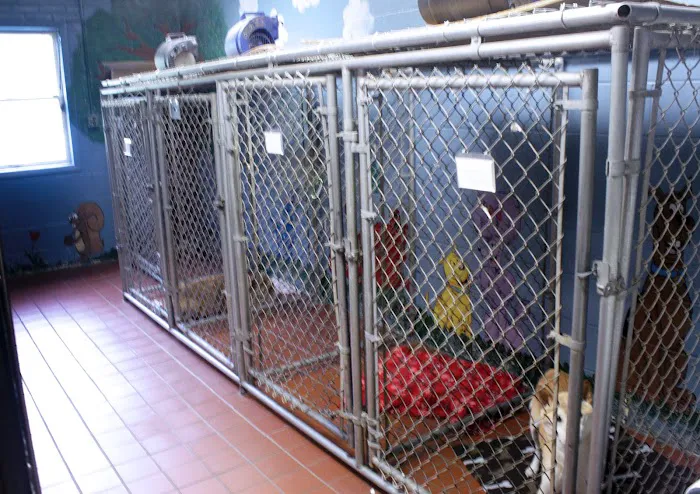 Commack Animal Hospital Picture 9