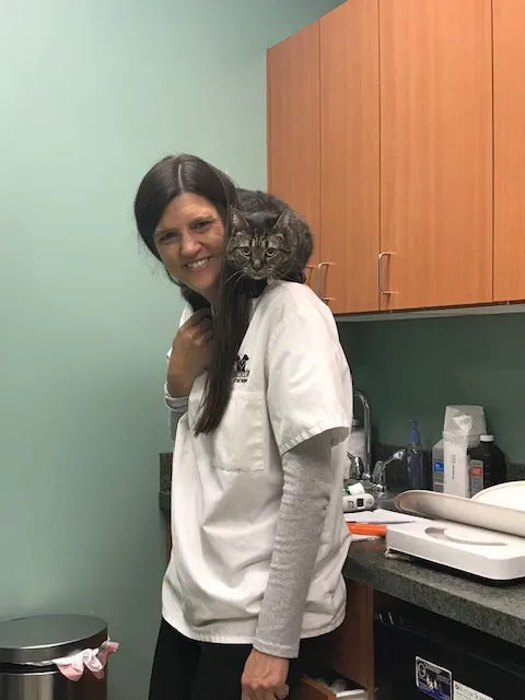Veterinary Center of East Northport Picture 6