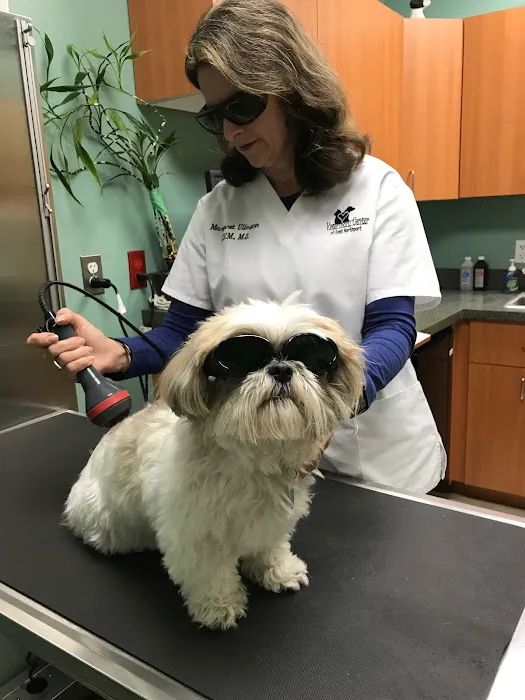 Veterinary Center of East Northport Picture 7