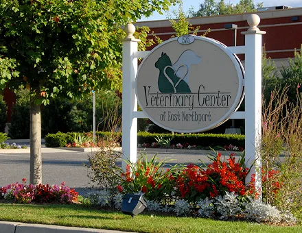 Veterinary Center of East Northport Picture 2