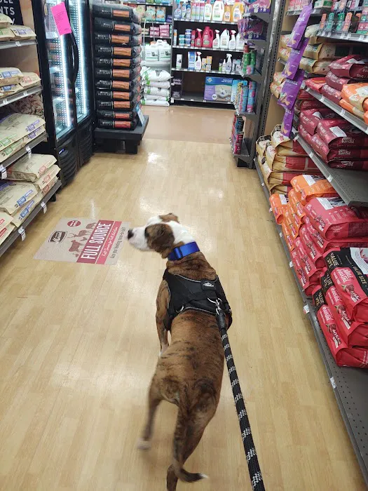Petco Picture 7