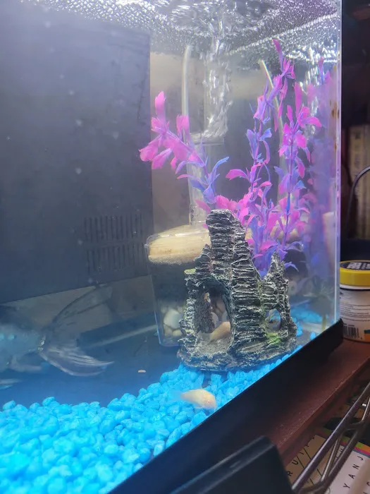 Petco Picture 8