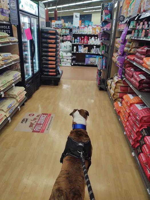 Petco Picture 5