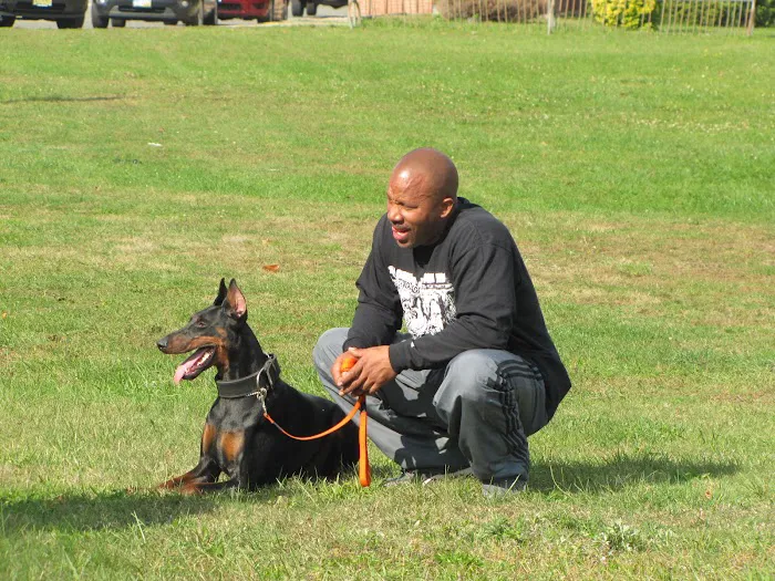 Peace Love Pets Veterinary Care, A Thrive Pet Healthcare Partner Picture 3