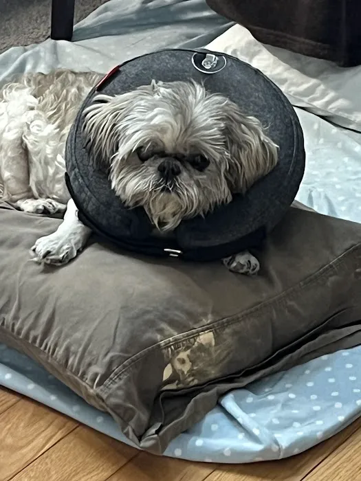 VEG ER for Pets Picture 6