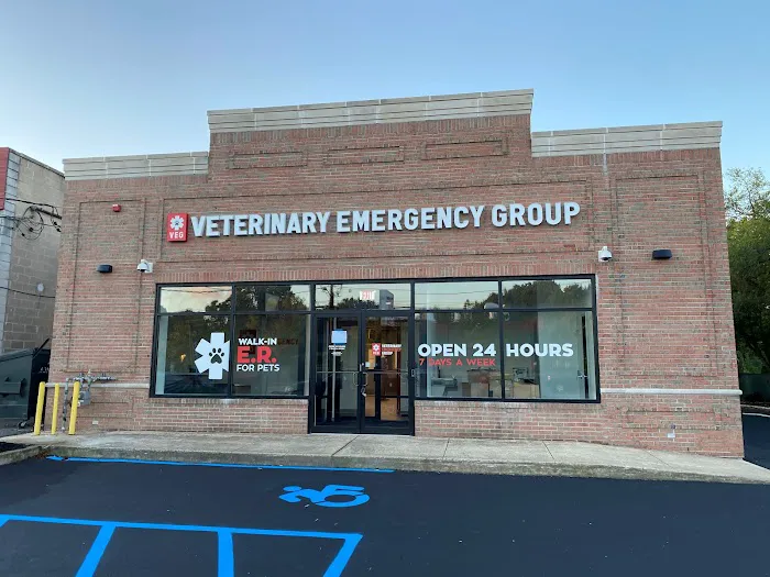 VEG ER for Pets Picture 8